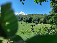 Italy-Abruzzo/Molise-Colle dell'Orso - through the Valley of the Bear